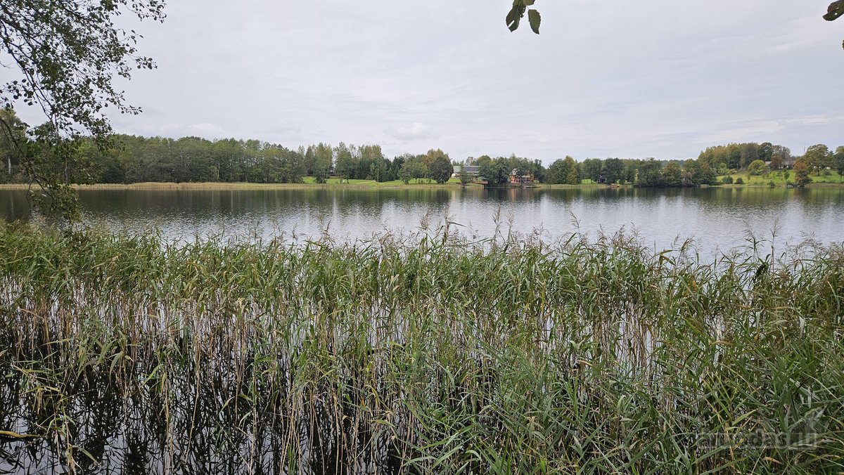 Parduodamas 79 arų žemės sklypas ant Žieždro - nuotraukos Nr. 2