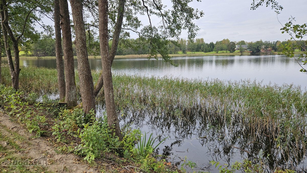 Parduodamas 79 arų žemės sklypas ant Žieždro - nuotraukos Nr. 4