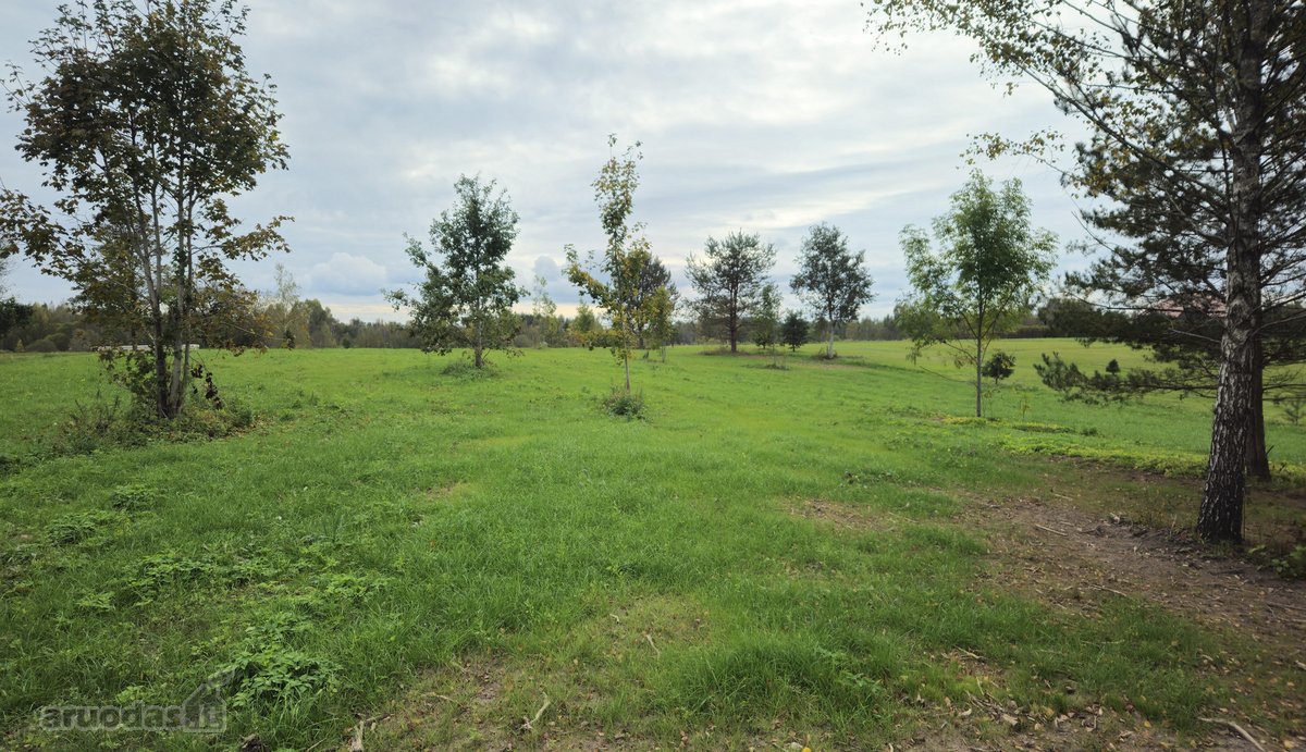 Parduodamas 79 arų žemės sklypas ant Žieždro - nuotraukos Nr. 12