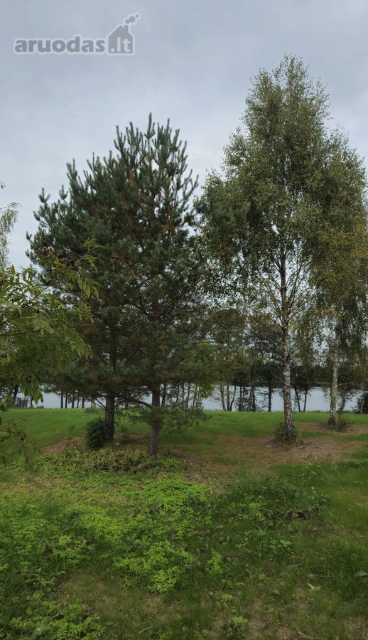 Parduodamas 79 arų žemės sklypas ant Žieždro - nuotraukos Nr. 7