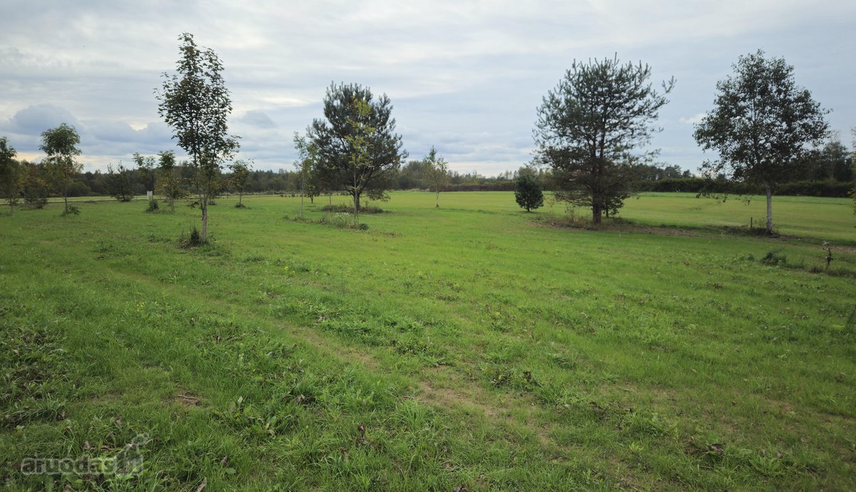 Parduodamas 79 arų žemės sklypas ant Žieždro - nuotraukos Nr. 13