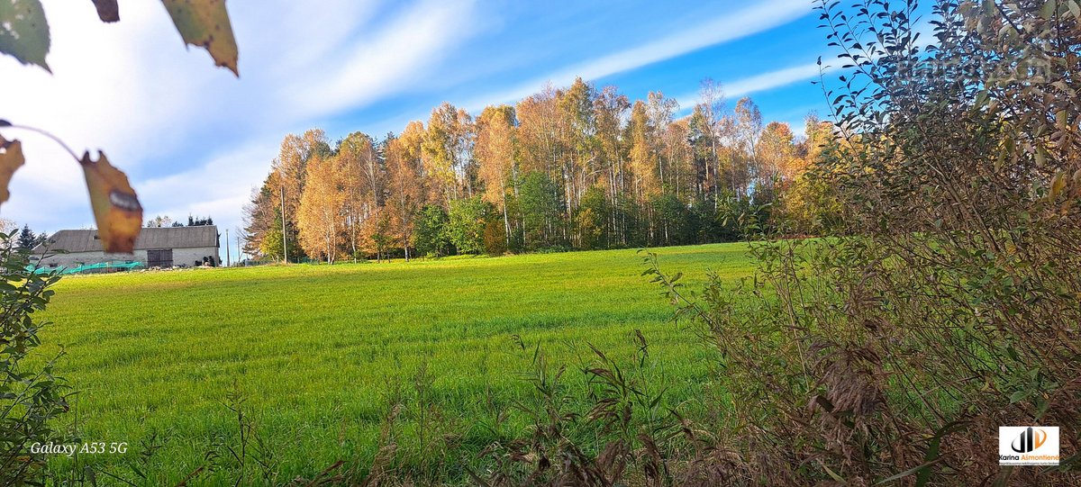 Parduodamas žemės ūkio paskirties sklypas