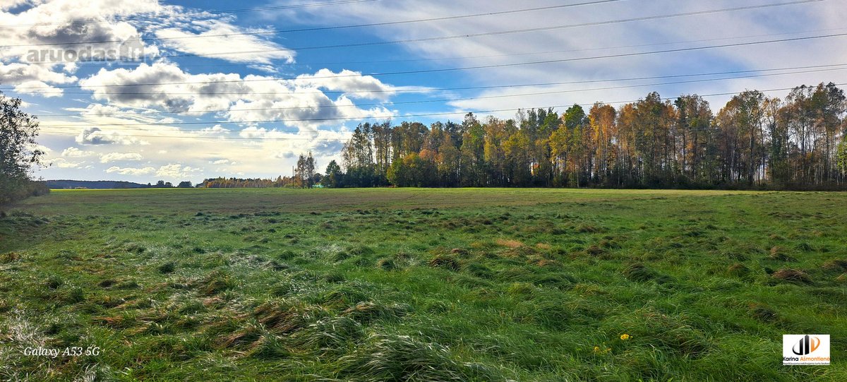 Parduodamas žemės ūkio paskirties sklypas - nuotraukos Nr. 2