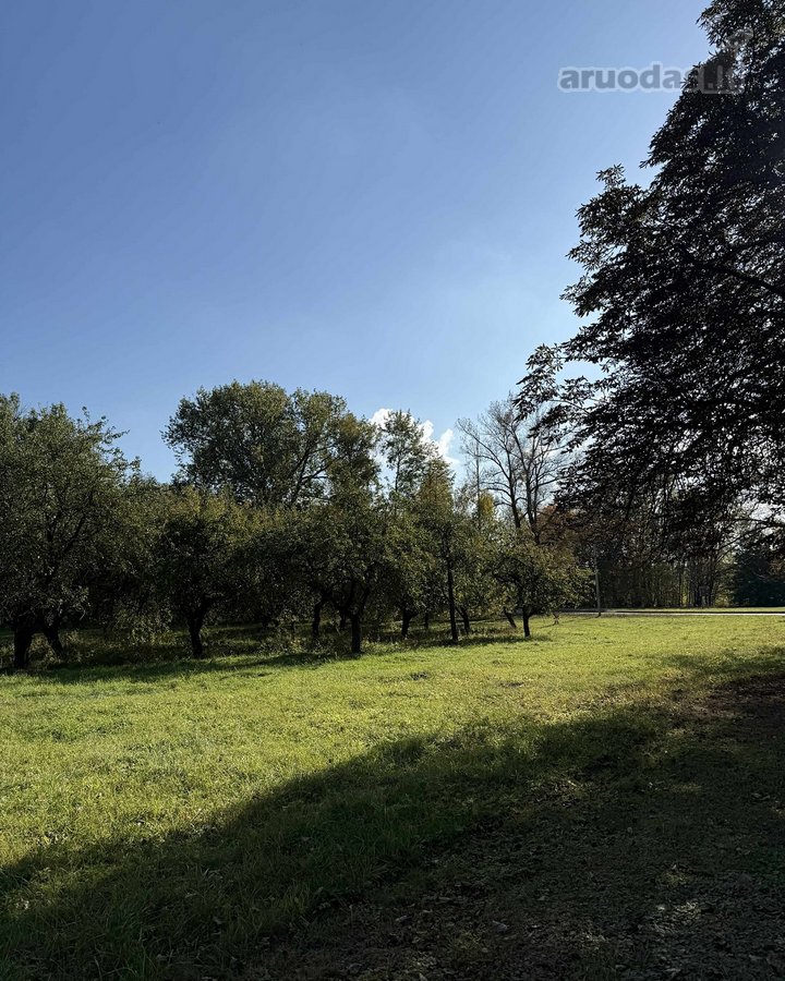 Nauja Kaina - 800 Eur./aras. - nuotraukos Nr. 6