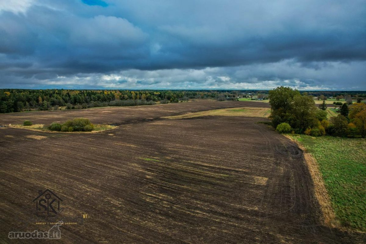 Prie Lazdininkų Tvenkinio Parduodamas 2.94 Ha - nuotraukos Nr. 4