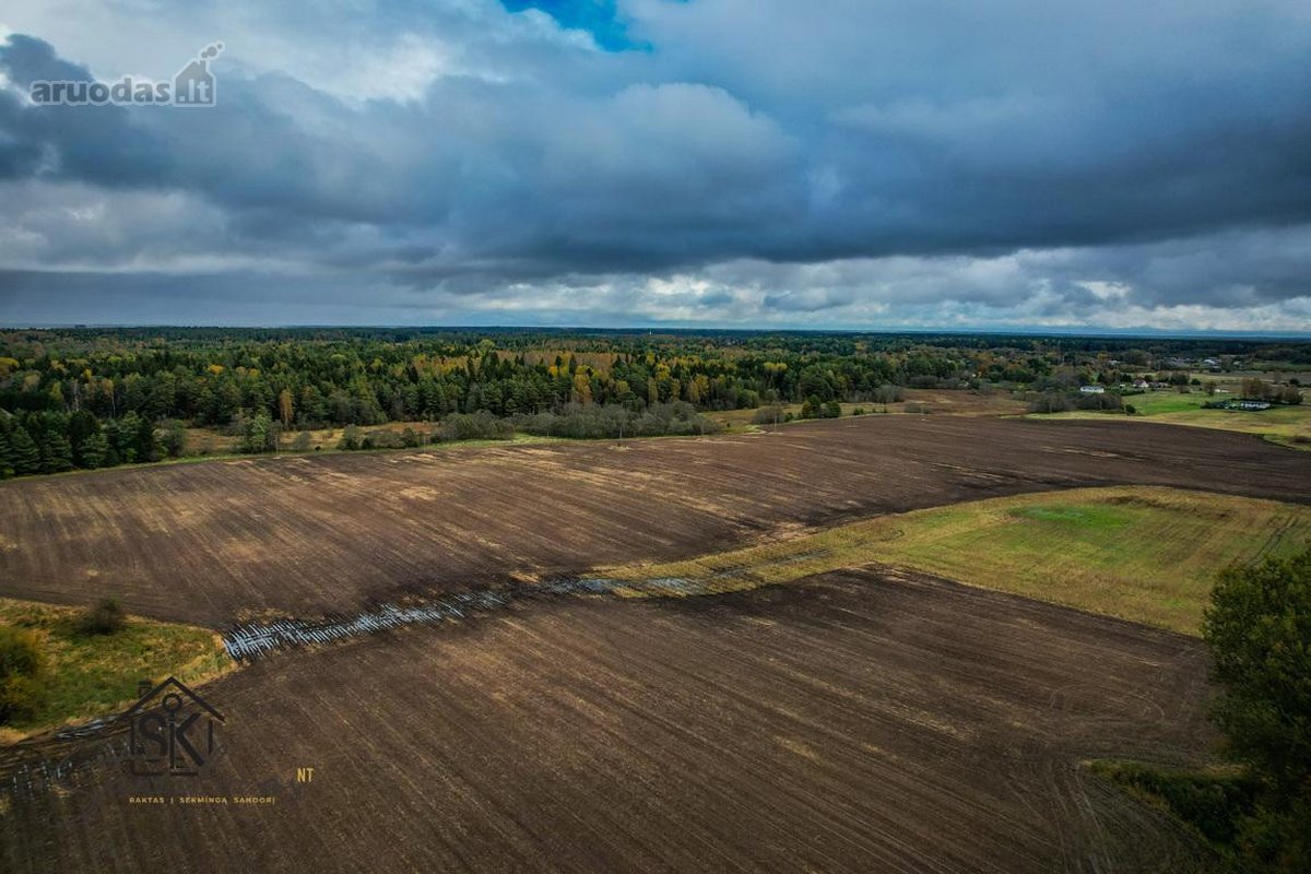 Prie Lazdininkų Tvenkinio Parduodamas 2.94 Ha - nuotraukos Nr. 5