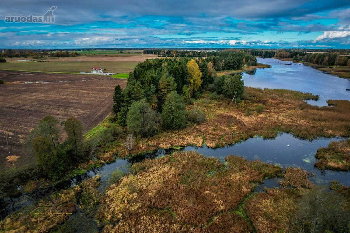 Prie Lazdininkų Tvenkinio Parduodamas 2.94 Ha - nuotraukos Nr. 9