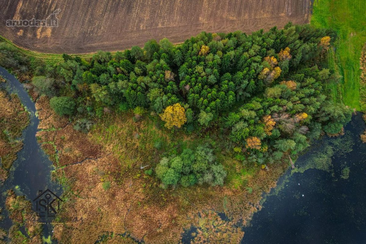 Prie Lazdininkų Tvenkinio Parduodamas 2.94 Ha - nuotraukos Nr. 18