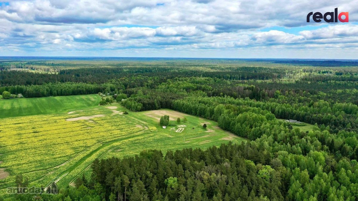 Parduodamas Erdvus 27 Arų Sklypas Šalia Miško - nuotraukos Nr. 14