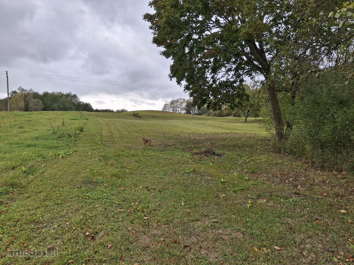 Parduodama sodyba Lazdijų r., Virbalų k. (1 - nuotraukos Nr. 17