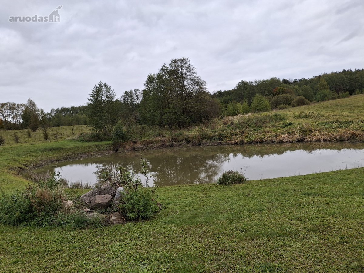 Parduodama sodyba Lazdijų r., Virbalų k. (1 - nuotraukos Nr. 19