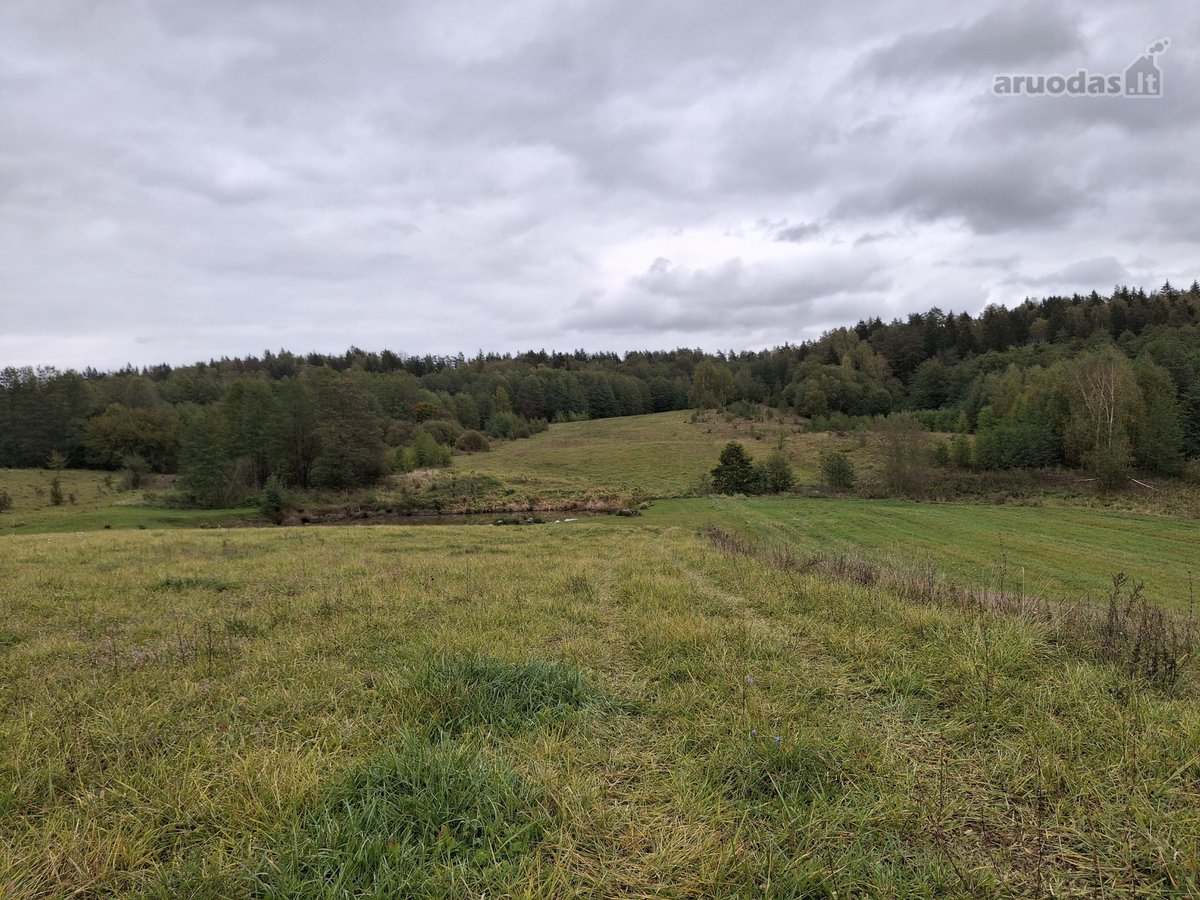 Parduodama sodyba Lazdijų r., Virbalų k. (1 - nuotraukos Nr. 20