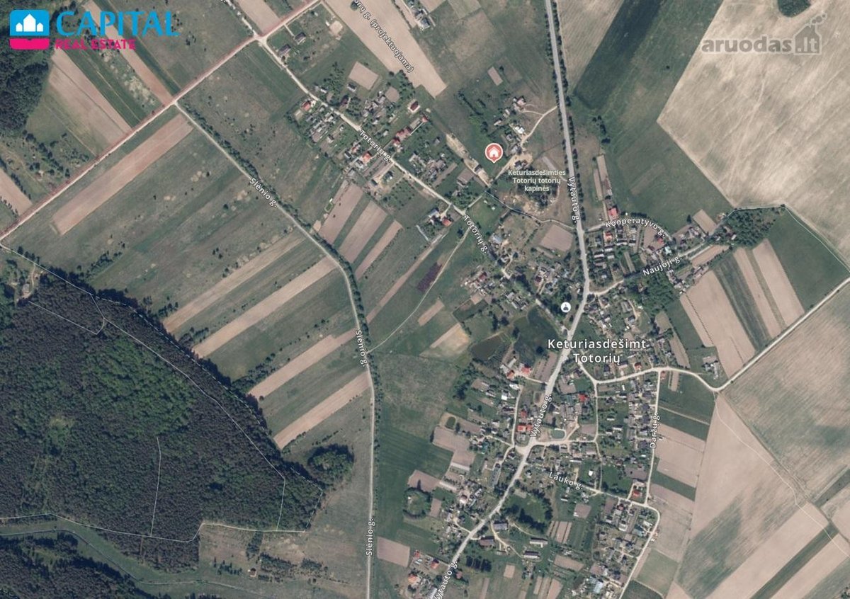 Gražioje vietoje, gamtos apsuptyje, - nuotraukos Nr. 15