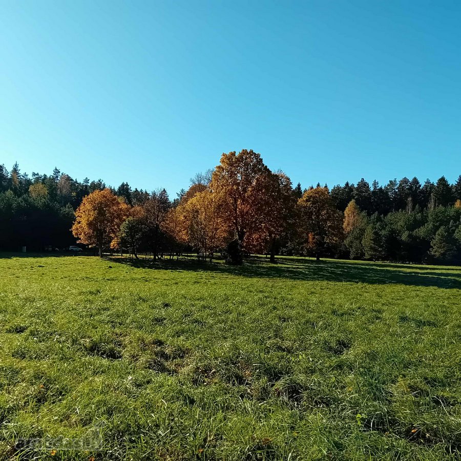 Ši nuostabi pamiškė, su išlikusiais senais - nuotraukos Nr. 5