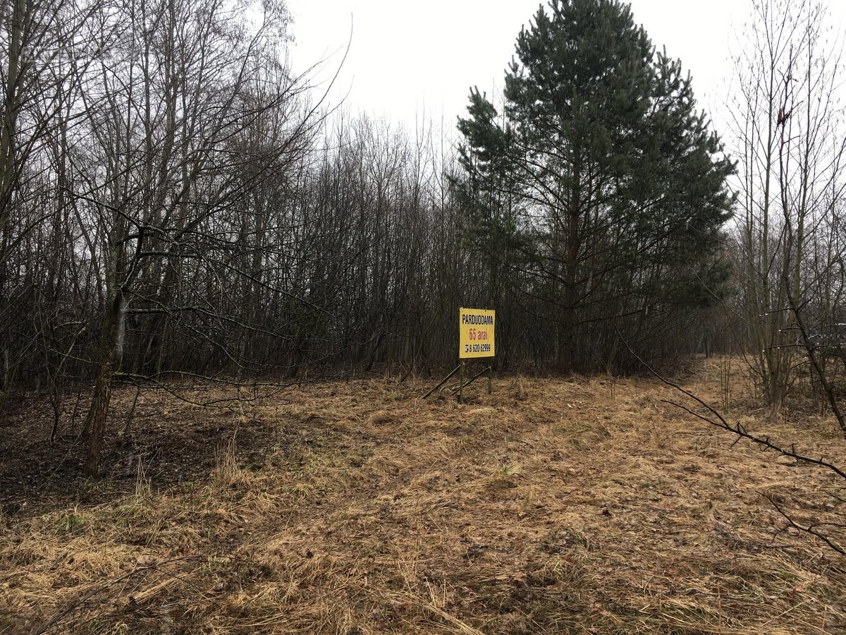 Utenos r. sav., Naujasodžio k.