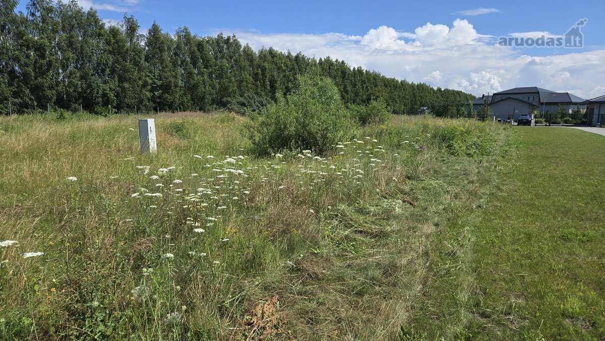 Parduodamas erdvus 35 arų namų valdos sklypas - nuotraukos Nr. 5