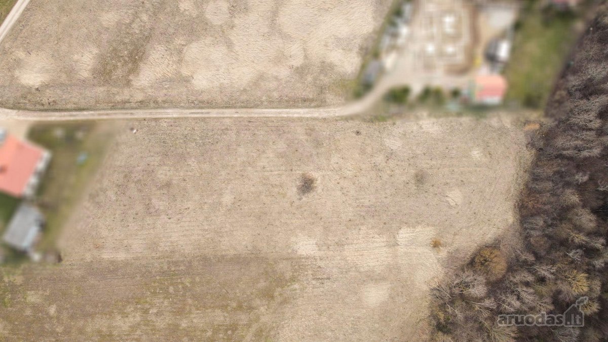 Parduodami Žemės Sklypai (Namų Valdos) Pyplių - nuotraukos Nr. 19