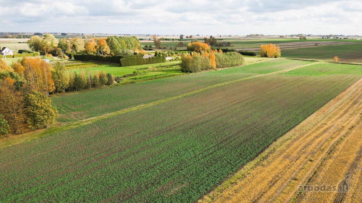 Parduodami Namų Valdos Sklypai Baraginėje, - nuotraukos Nr. 5