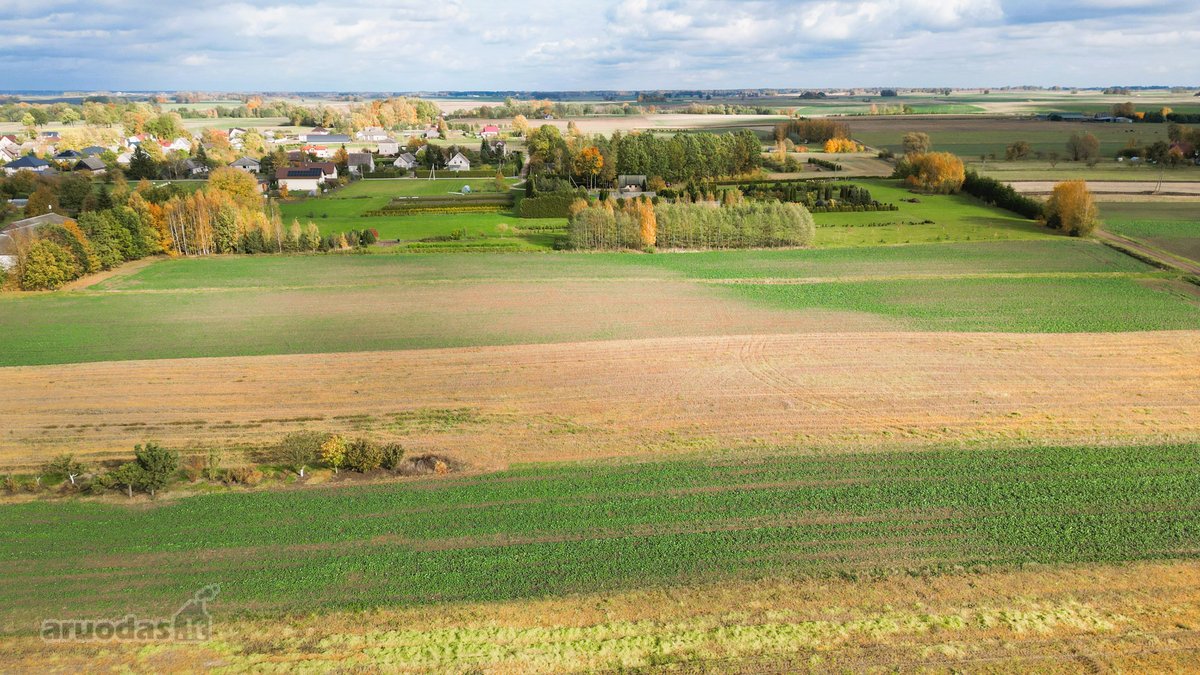 Parduodami Namų Valdos Sklypai Baraginėje, - nuotraukos Nr. 6