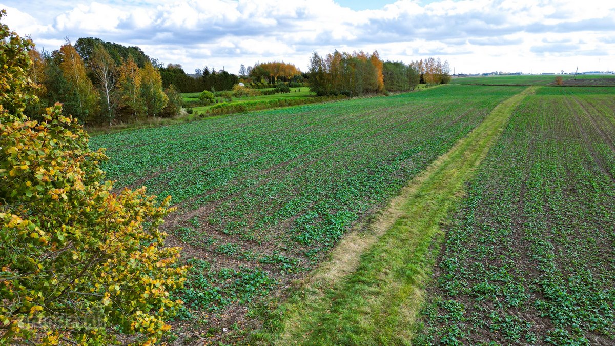 Parduodami Namų Valdos Sklypai Baraginėje, - nuotraukos Nr. 11