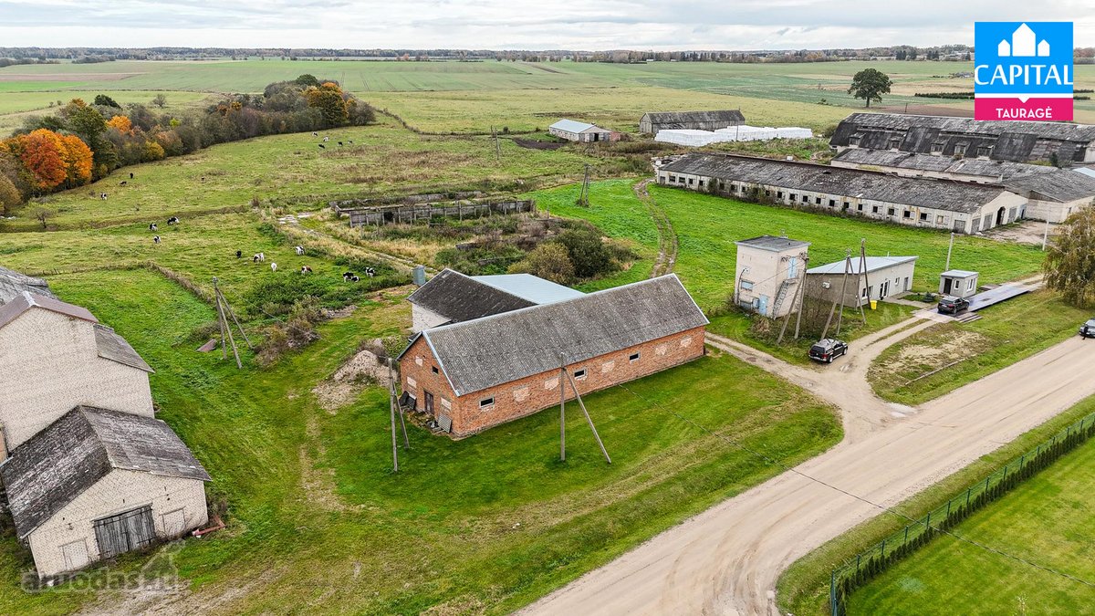 Parduodamas Grūdų Sandėlis Su Garažu Ramonų K - nuotraukos Nr. 30