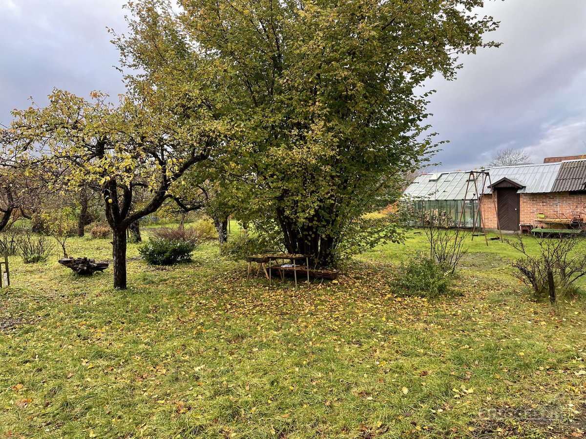 Parduodamas sodo sklypas su nameliu senojoje - nuotraukos Nr. 18