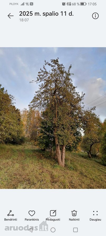Parduodama sodyba yra vaizdingoje gamtos - nuotraukos Nr. 3