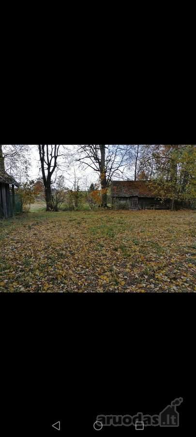 Parduodama sodyba yra vaizdingoje gamtos - nuotraukos Nr. 7