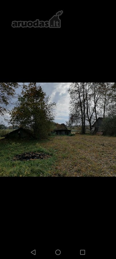 Parduodama sodyba yra vaizdingoje gamtos - nuotraukos Nr. 8
