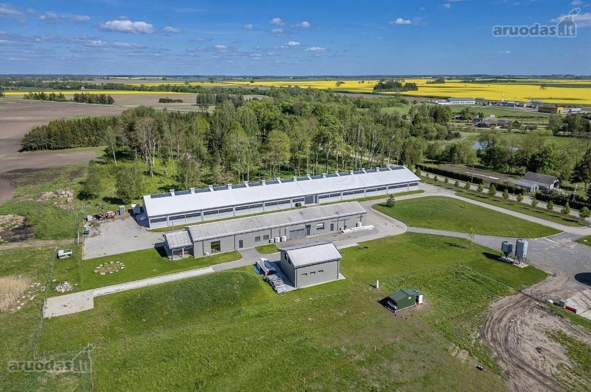 Parduodamas Modernus 2019 M. Avininkystės - nuotraukos Nr. 2