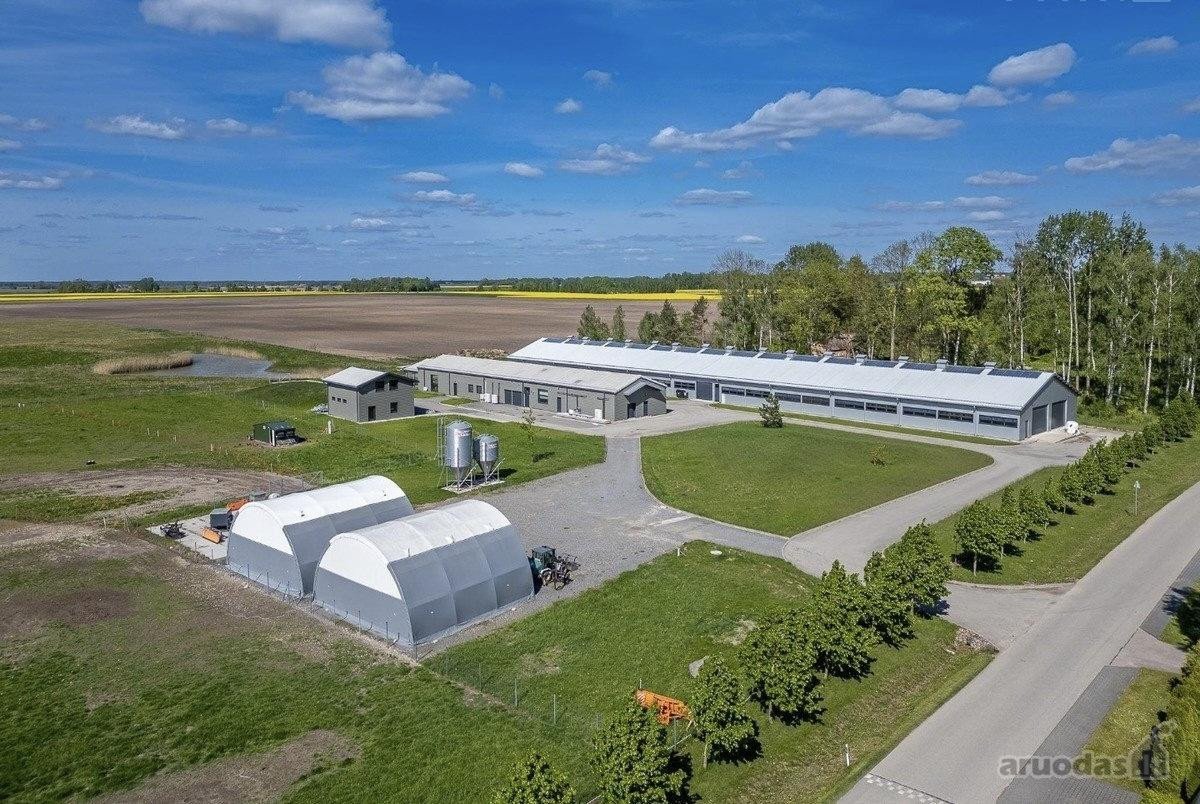 Parduodamas Modernus 2019 M. Avininkystės - nuotraukos Nr. 5