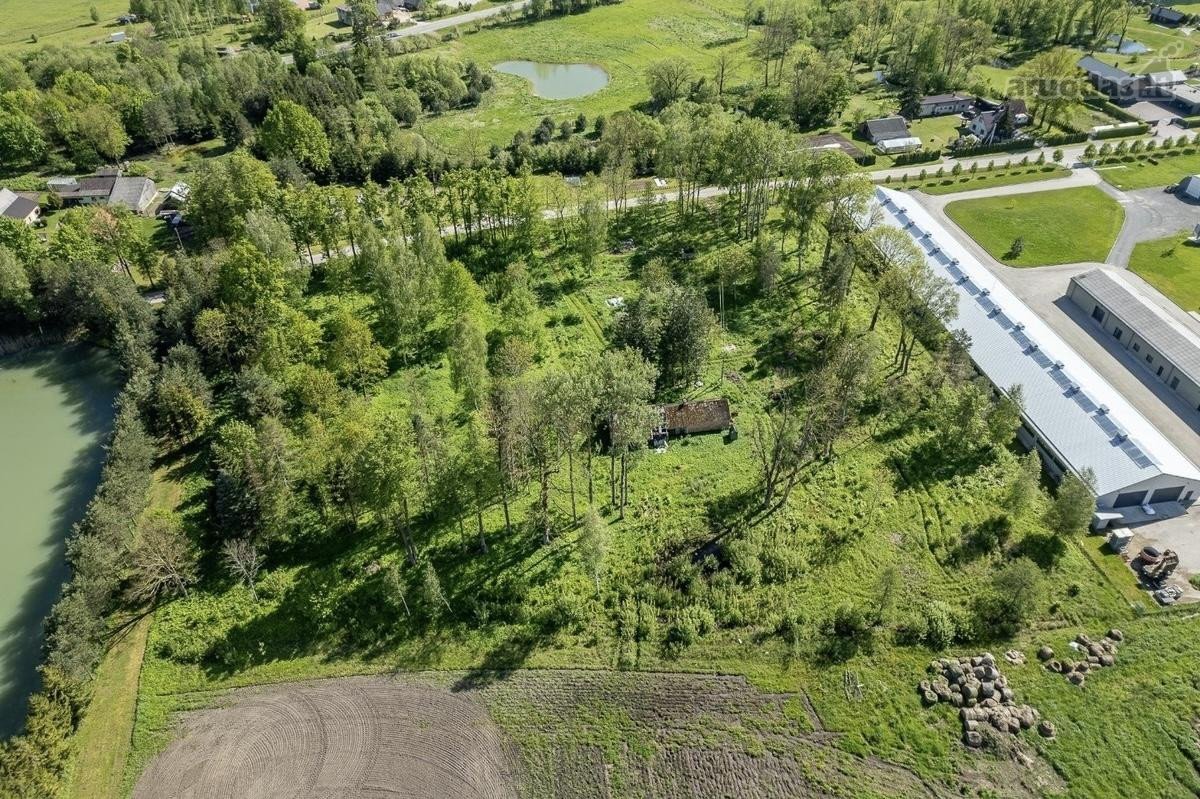 Parduodamas Modernus 2019 M. Avininkystės - nuotraukos Nr. 33