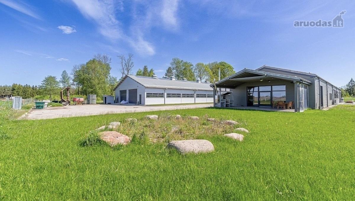 Parduodamas Modernus 2019 M. Avininkystės - nuotraukos Nr. 7