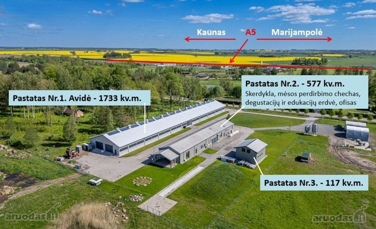 Parduodamas Modernus 2019 M. Avininkystės