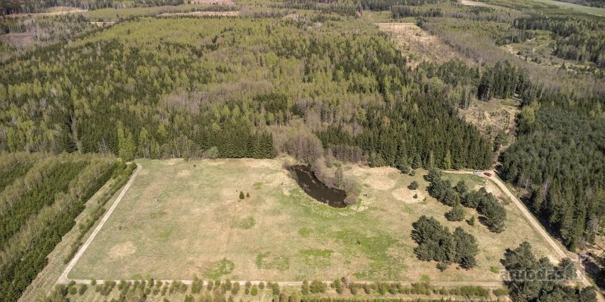 Parduodami 8,17 ha sklypai Kuniginės kaime su
