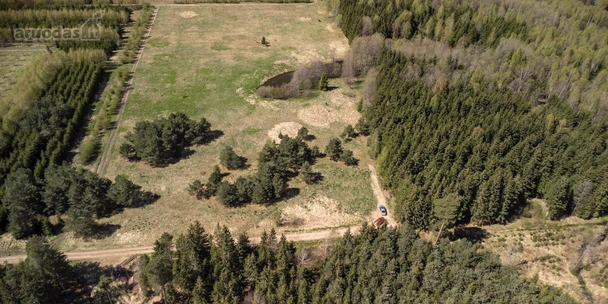 Parduodami 8,17 ha sklypai Kuniginės kaime su - nuotraukos Nr. 4