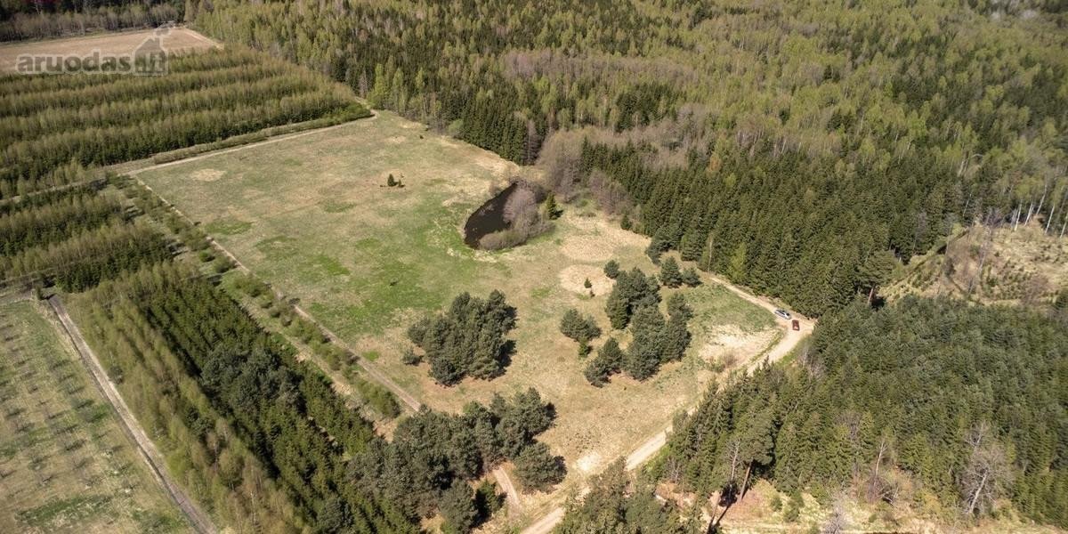 Parduodami 8,17 ha sklypai Kuniginės kaime su - nuotraukos Nr. 5