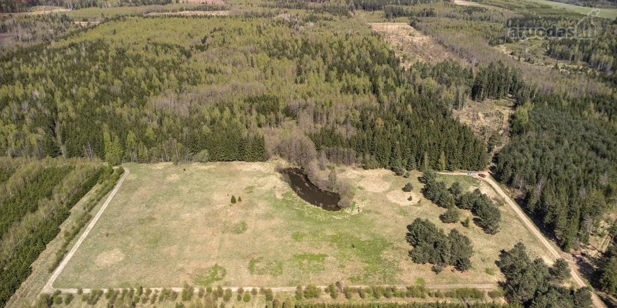 Parduodami 8,17 ha sklypai Kuniginės kaime su - nuotraukos Nr. 6
