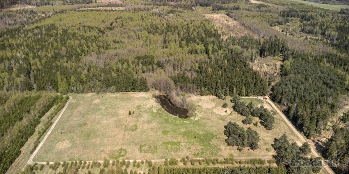 Parduodami 8,17 ha sklypai Kuniginės kaime su - nuotraukos Nr. 7