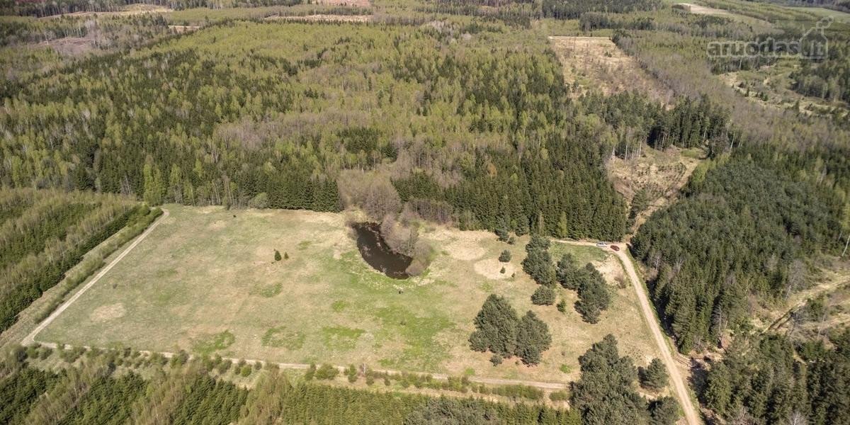 Parduodami 8,17 ha sklypai Kuniginės kaime su - nuotraukos Nr. 8