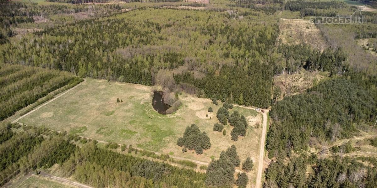 Parduodami 8,17 ha sklypai Kuniginės kaime su - nuotraukos Nr. 9