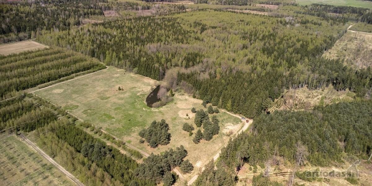 Parduodami 8,17 ha sklypai Kuniginės kaime su - nuotraukos Nr. 10