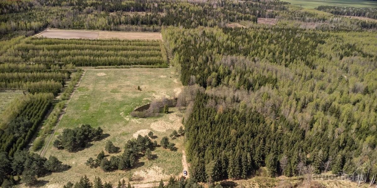 Parduodami 8,17 ha sklypai Kuniginės kaime su - nuotraukos Nr. 11