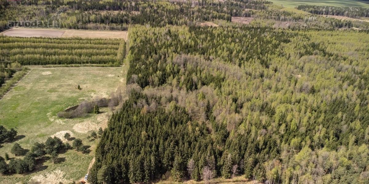 Parduodami 8,17 ha sklypai Kuniginės kaime su - nuotraukos Nr. 12