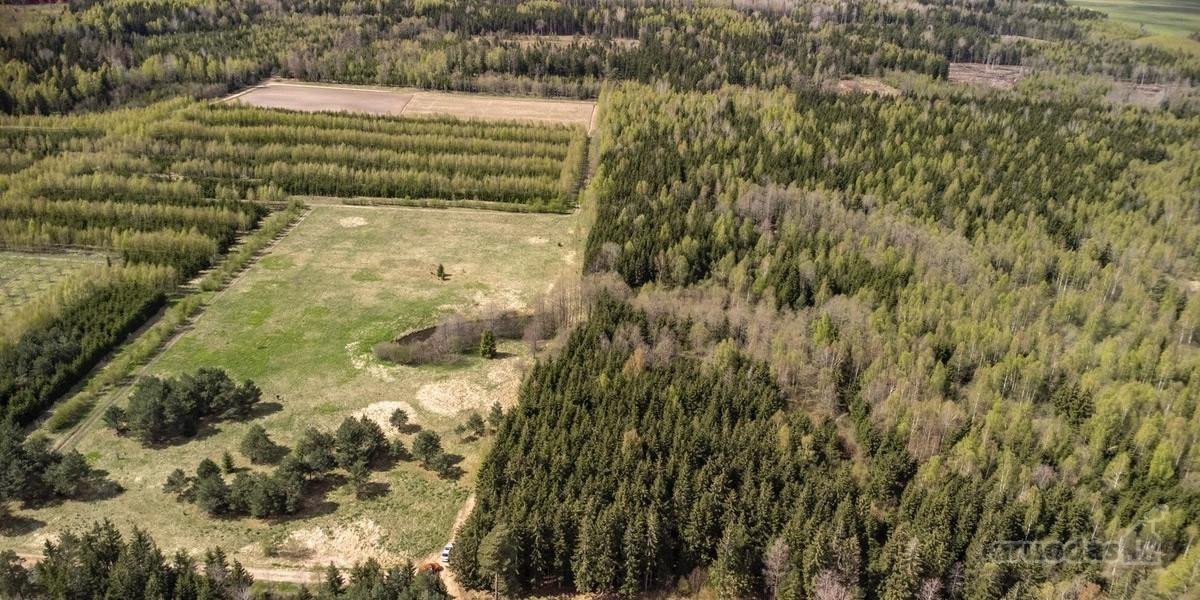 Parduodami 8,17 ha sklypai Kuniginės kaime su - nuotraukos Nr. 13