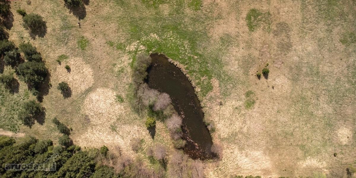 Parduodami 8,17 ha sklypai Kuniginės kaime su - nuotraukos Nr. 14