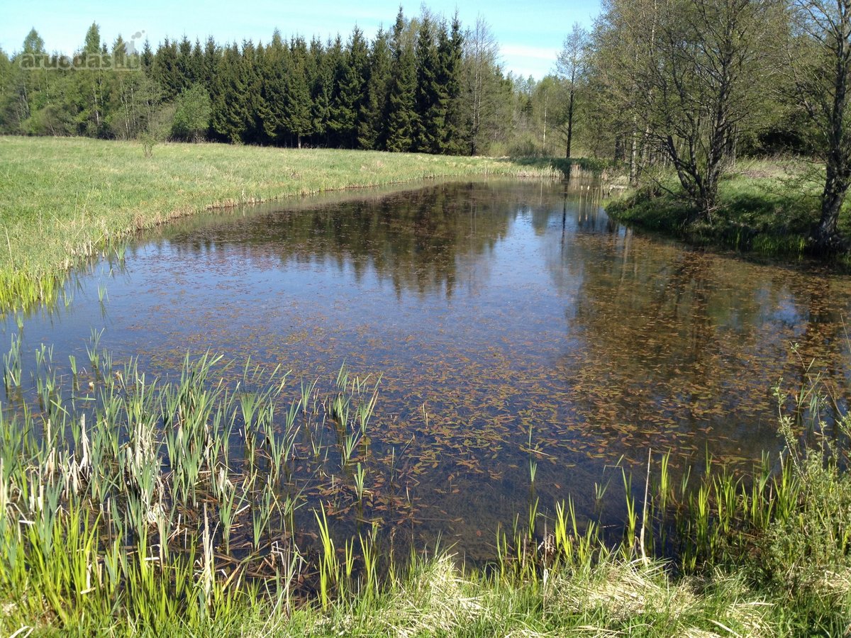 Parduodami 8,17 ha sklypai Kuniginės kaime su - nuotraukos Nr. 3