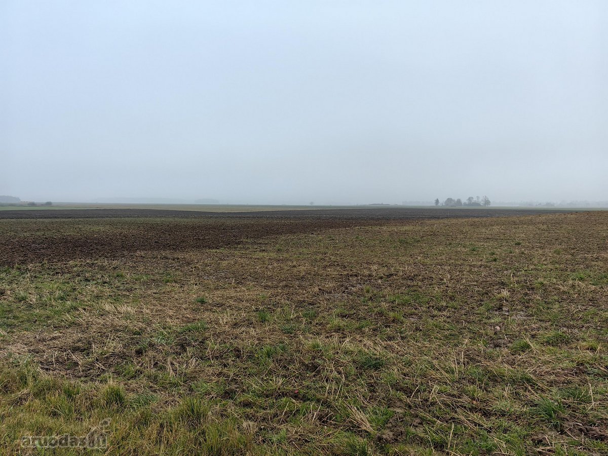 Parduodamas 25,43 arų žemės ūkio paskirties - nuotraukos Nr. 3