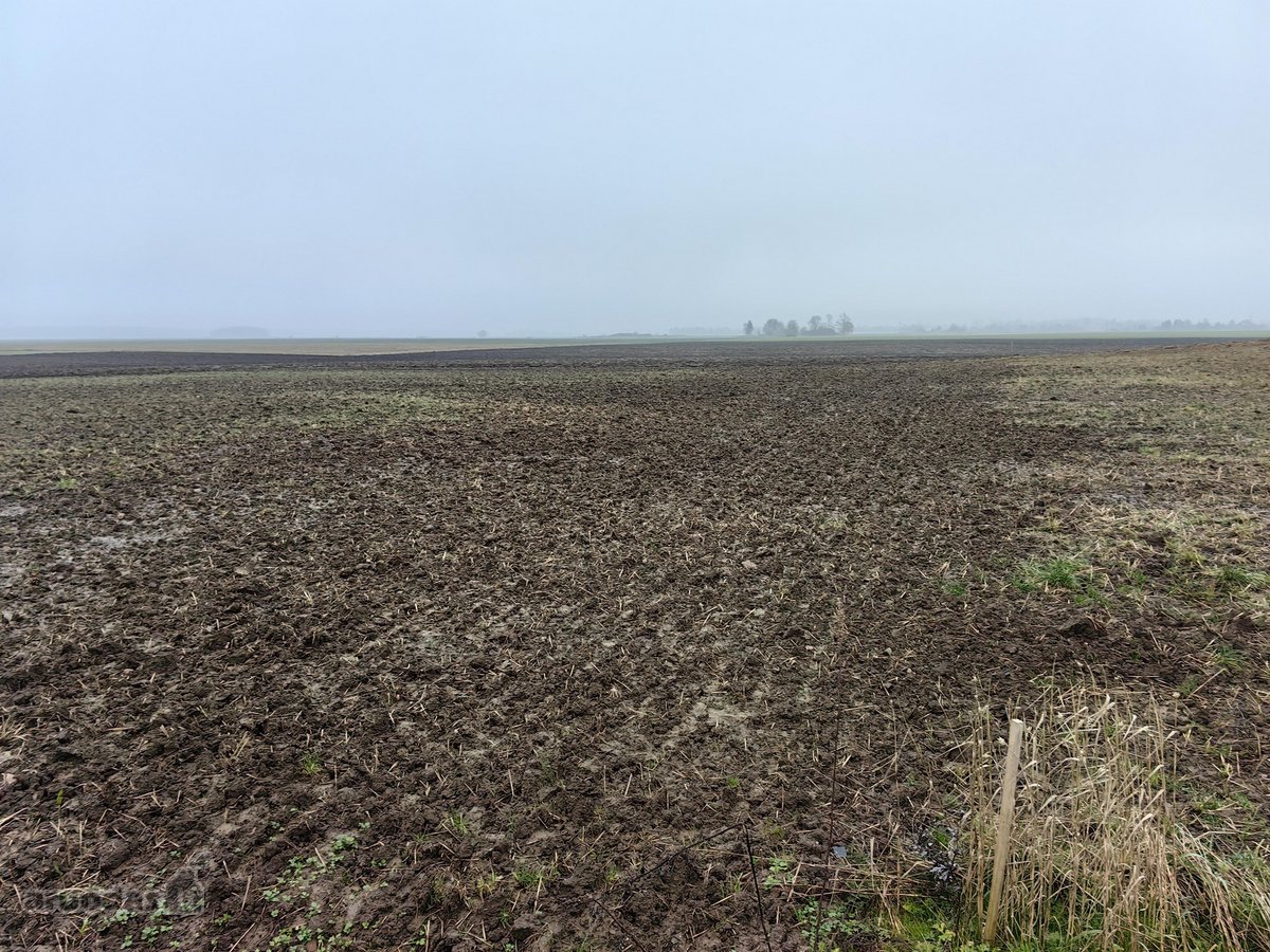 Parduodamas 25,43 arų žemės ūkio paskirties - nuotraukos Nr. 5