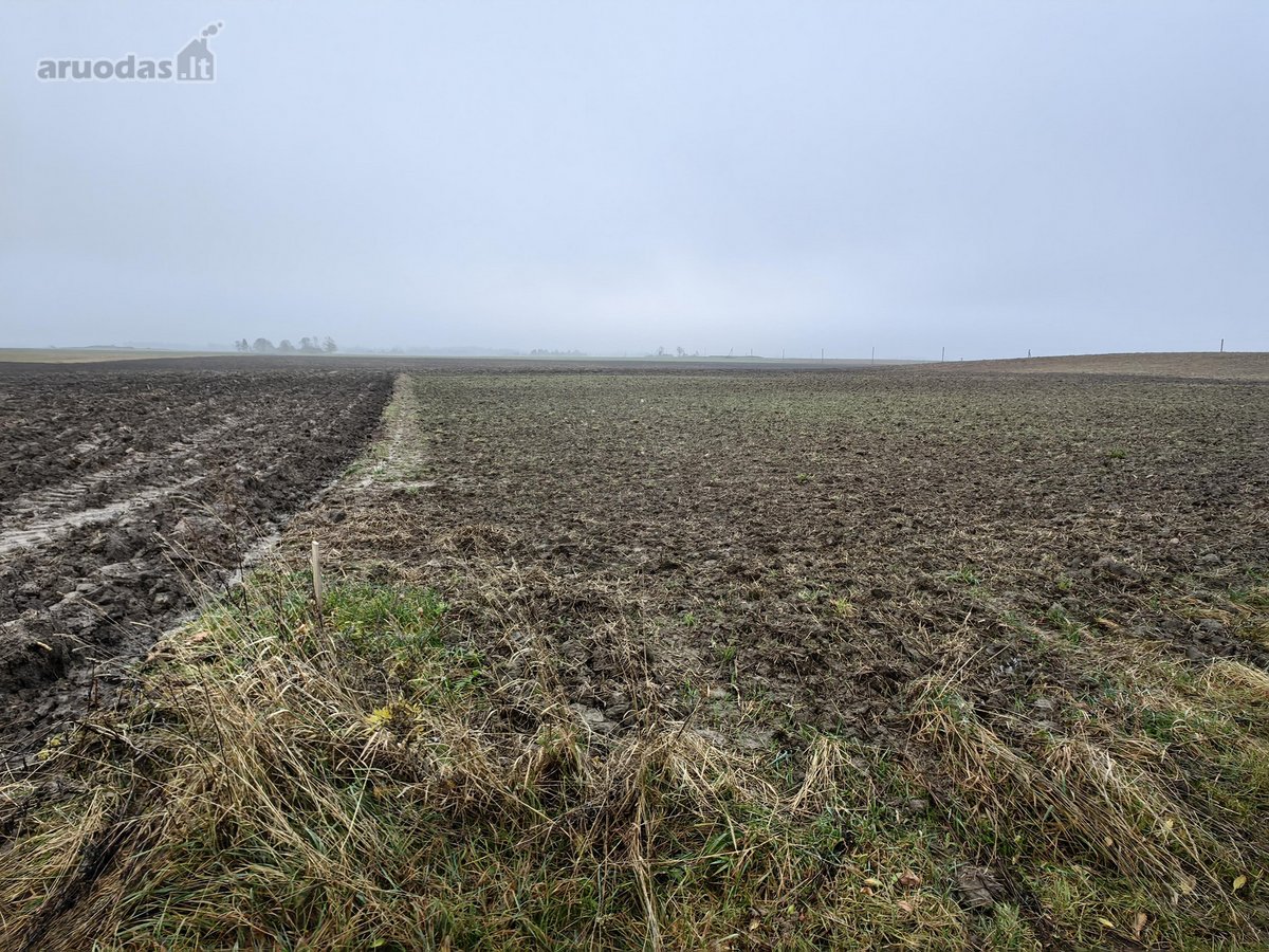 Parduodamas 25,43 arų žemės ūkio paskirties - nuotraukos Nr. 9